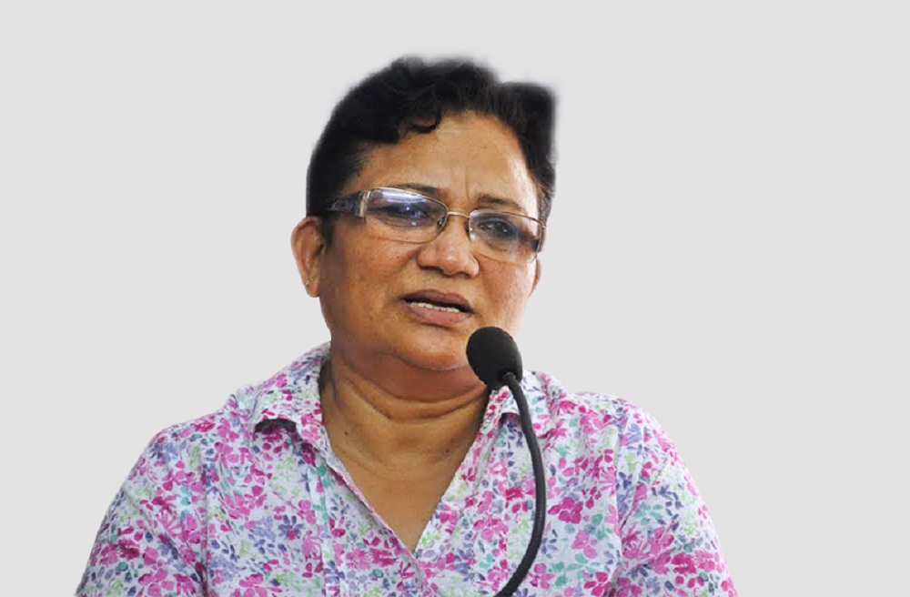 सरकार मुलुकभर विद्युतीकरणको योजनामा जुटेको छ : पम्फा भुसाल